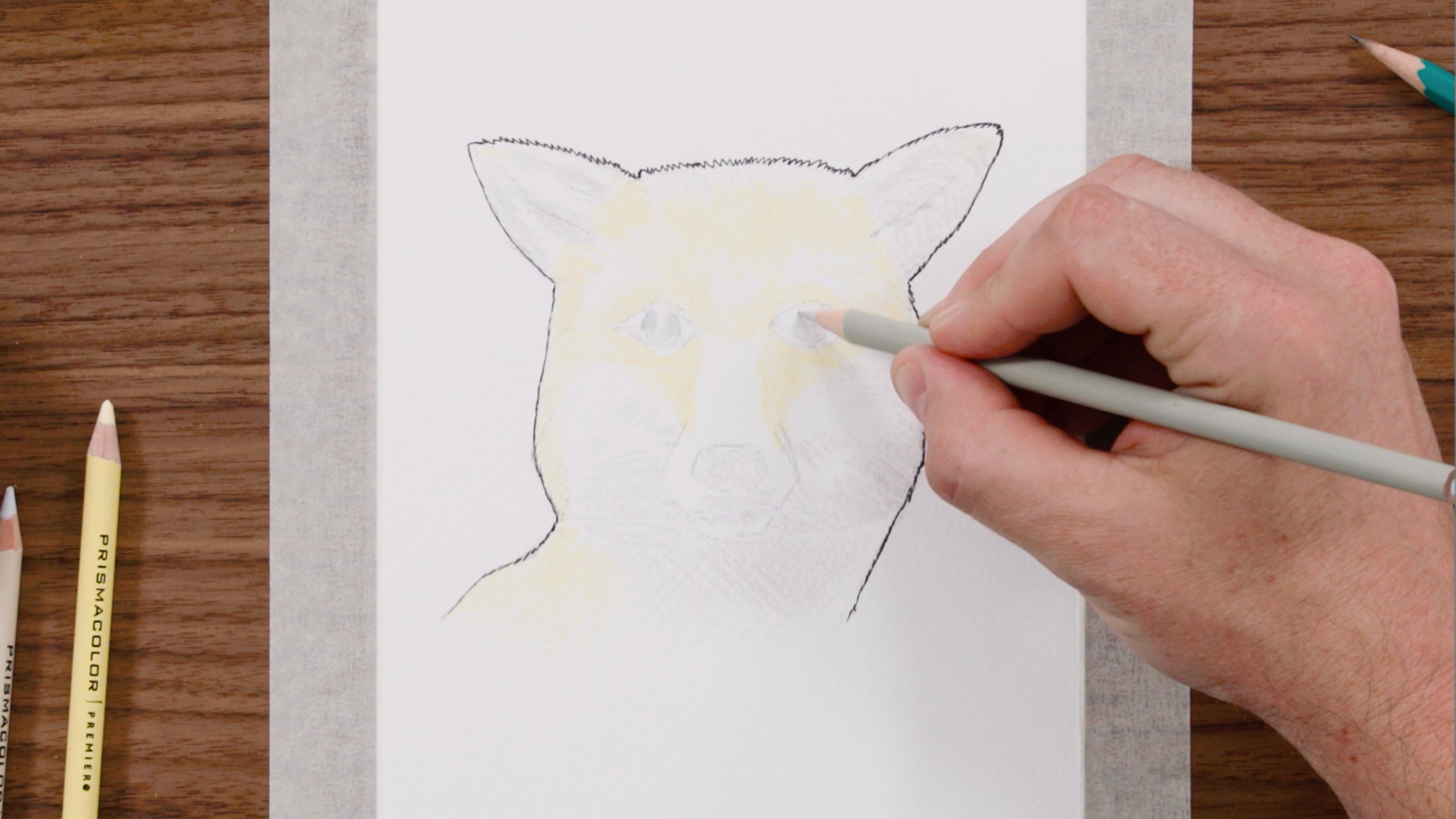 Inspiring Pencil Drawings Of Animals [Realism Art In 2024]